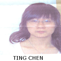 TING CHEN